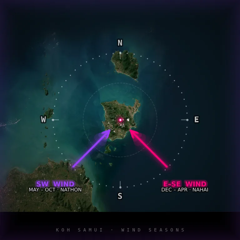 Wind rose Koh Samui — seasonal wind direction chart for windsurfers